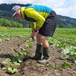 Ingulf - Jung-Beerenbauer